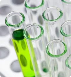 Chemical Industry