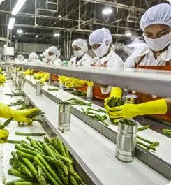 Food Processing