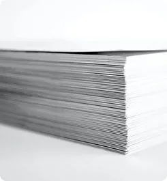 Paper and Pulp Industry