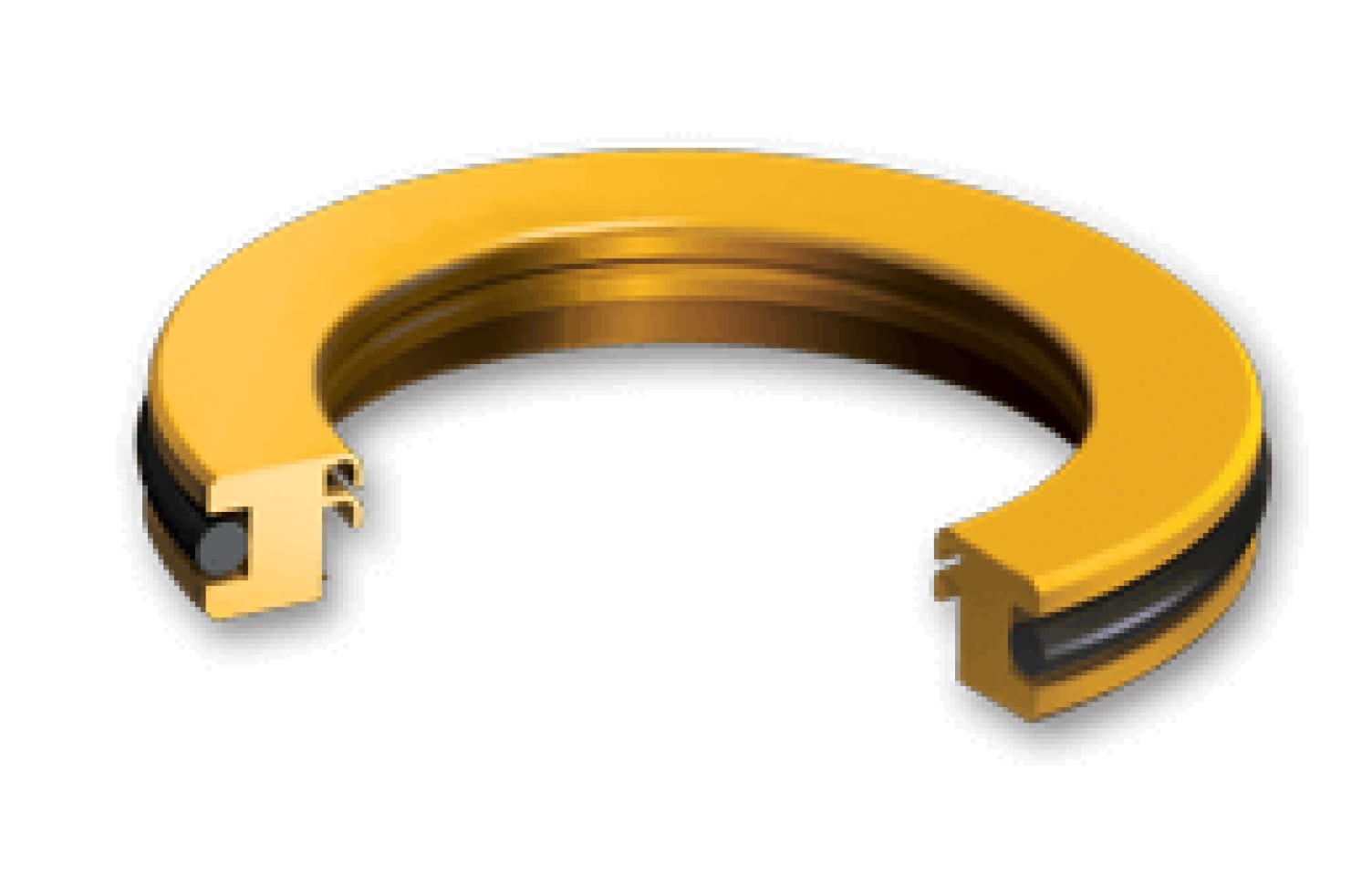 Polymer Seals